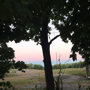 Meet your Posher, Talia